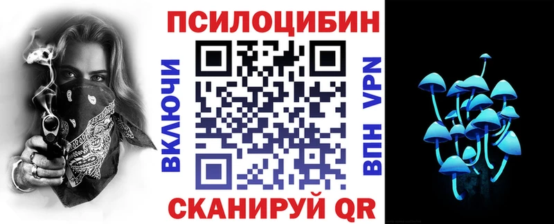 Галлюциногенные грибы Psilocybine cubensis  купить наркотики сайты  Чапаевск 