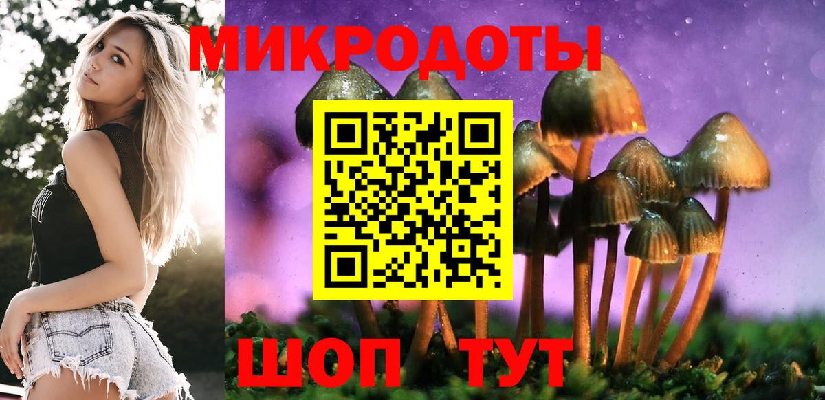 Галлюциногенные грибы Psilocybe  Вход с VPN  даркнет сайт  Галлюциногенные грибы Magic Shrooms  Чапаевск 
